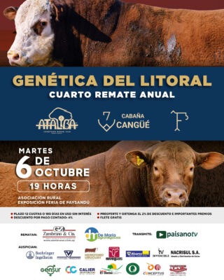 Afiche