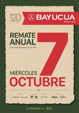 Afiche