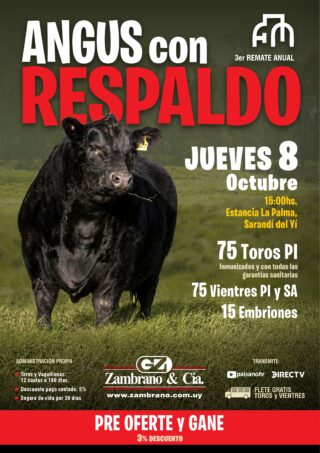 Afiche