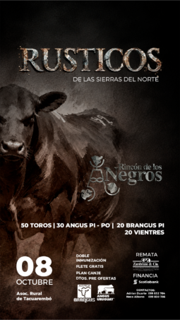 Afiche