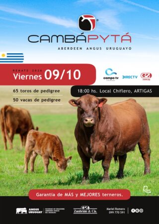 Afiche