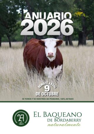 Catálogo PDF