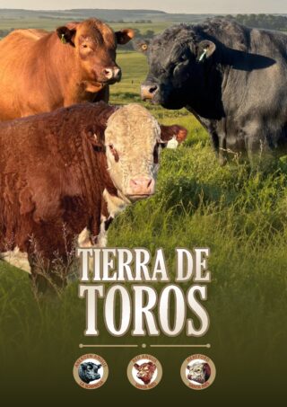 Catálogo PDF