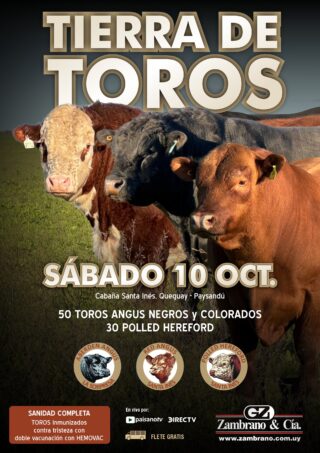 Afiche