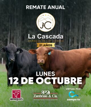 Afiche