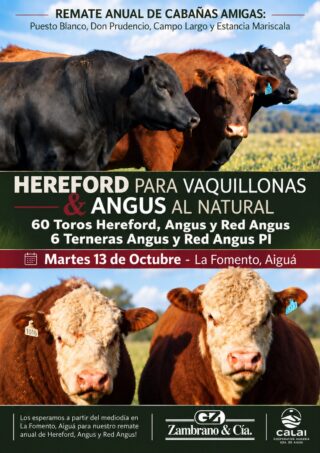 Afiche