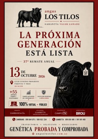 Afiche