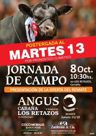 Afiche