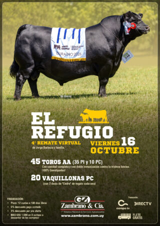 Afiche