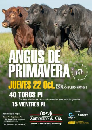 Afiche