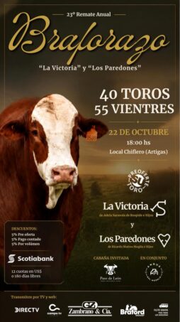 Afiche