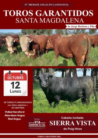 Catálogo PDF