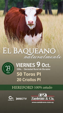 Afiche