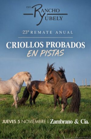 Afiche