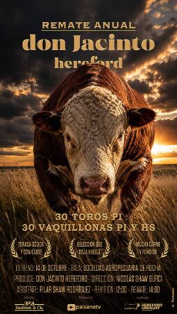 Catálogo PDF