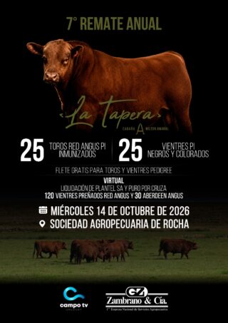 Afiche