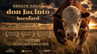 Afiche
