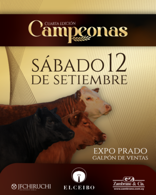Afiche