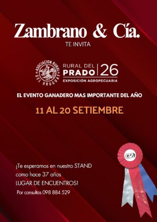 Catálogo PDF