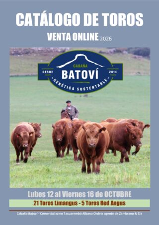 Catálogo PDF