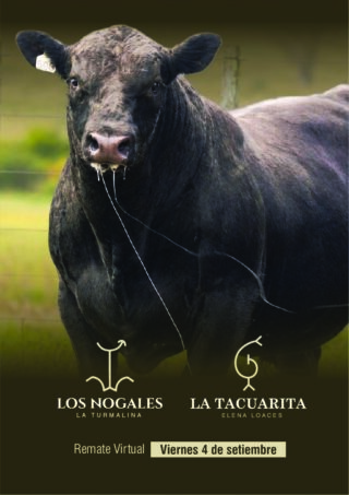 Catálogo PDF