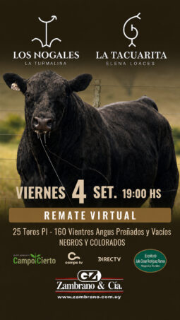 Afiche