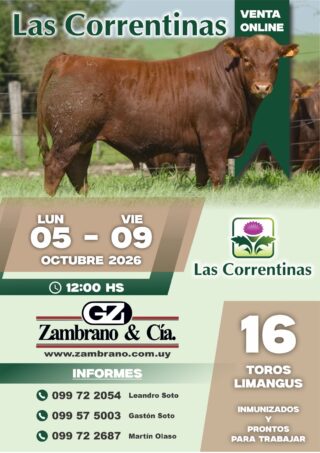 Afiche