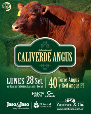 Afiche
