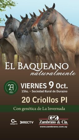 Afiche