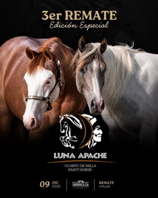 Afiche