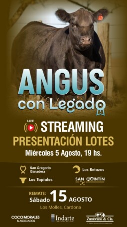 Afiche