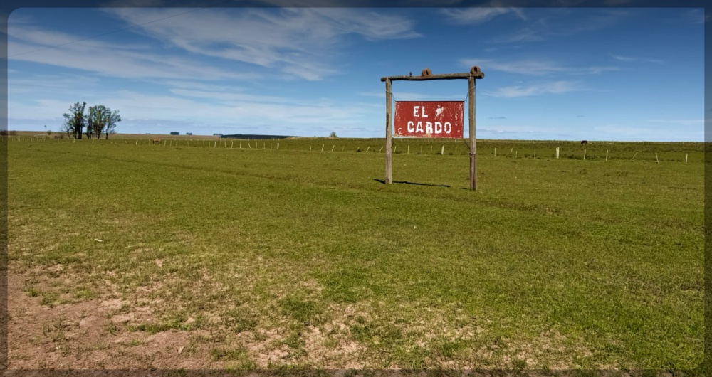 Zambrano & Cía