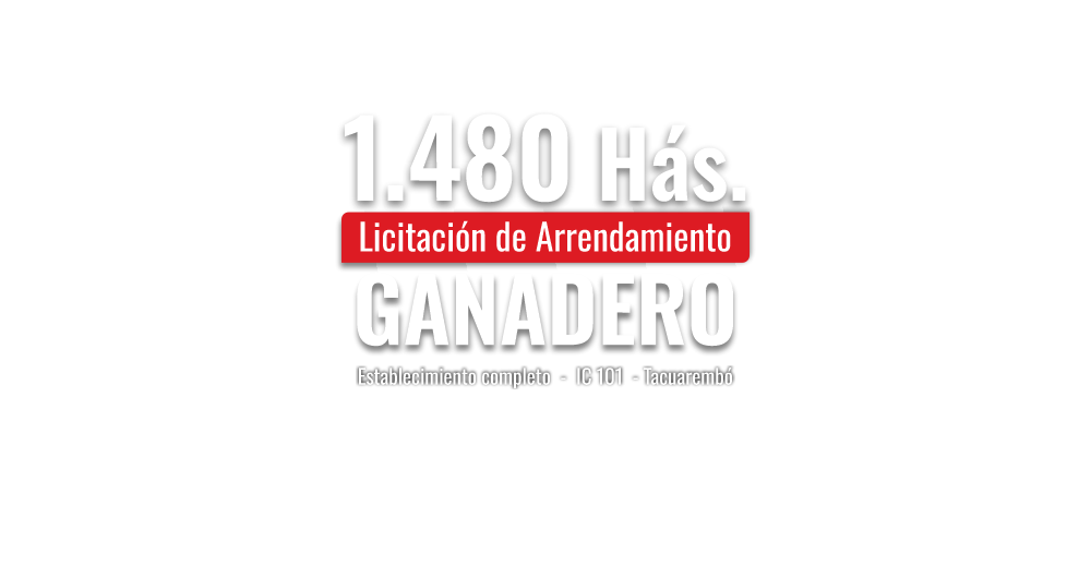 Texto destacado de Zambrano