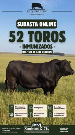 Afiche