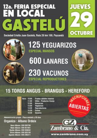 Afiche